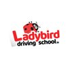 Avatar of ladybirddriving