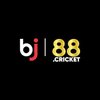 Avatar of bj88cricket