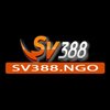 Avatar of SV388
