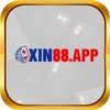 Avatar of xin88app
