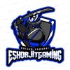 Avatar of Eshorjit.Meitei