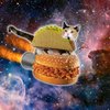 Avatar of MaxAmilion