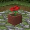 Avatar of vivo_704