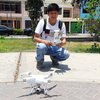 Avatar of roger_ramos