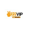 Avatar of 22vipdev