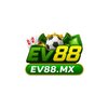 Avatar of EV88