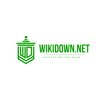 Avatar of wikidownnett