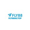 Avatar of FLY88