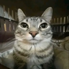 Avatar of Weom