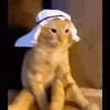Avatar of bytektobytek