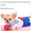Avatar of yoinkgush