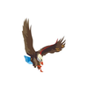 Avatar of thehawkdaily
