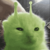 Avatar of Michstan