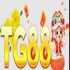 Avatar of TG88 TRANG CHỦ NHÀ CÁI TG888