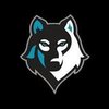 Avatar of osm10pro