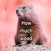 Avatar of HowMuchWood