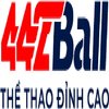 Avatar of 442ball