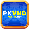 Avatar of pkvndnet