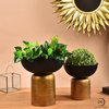 Avatar of Decorative Planters