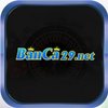Avatar of banca29net