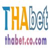 Avatar of THABET