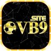 Avatar of vb9site