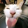 Avatar of SignFloow