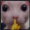 Avatar of suspishus