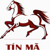 Avatar of Tín Mã