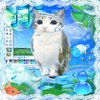 Avatar of Fruitiger meowl