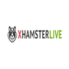 Avatar of How to Hack Xhamster Tool Generator