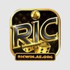Avatar of ricwinaeorg