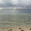 Avatar of Sea.Bird