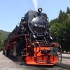 Avatar of 99245