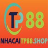 Avatar of nhacaitp88shop