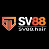 Avatar of SV88