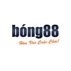 Avatar of Bong88