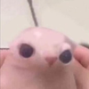 Avatar of big_bingus