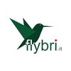 Avatar of Flybri