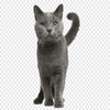 Avatar of ejeguiondev