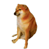 Avatar of DogeDaDev