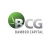 Avatar of Bamboo Capital