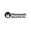 Avatar of Mammoth Security Inc. New Britain