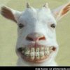 Avatar of ExSaZ