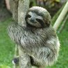 Avatar of MossOnTheRocks