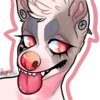 Avatar of pitbullie