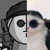 Avatar of Cross77