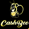 Avatar of cashbeeloan