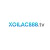 Avatar of Xoilac TV