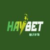 Avatar of HAYBET